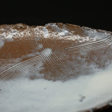 画像をギャラリービューアに読み込む, 萩筍皿 1<波多野英生> hagi takenokozara <Hideo Hadano>