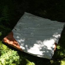 画像をギャラリービューアに読み込む, 白萩大皿<波多野英生>sirahagi-oozara<Hideo Hadano>