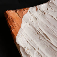 画像をギャラリービューアに読み込む, 白萩大皿<波多野英生>sirahagi-oozara<Hideo Hadano>