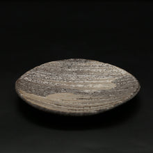 画像をギャラリービューアに読み込む, 萩刷目シノギ皿<波多野善蔵> hagi hakeme shinogi-zara <Zenzou Hadano>