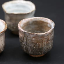 画像をギャラリービューアに読み込む, 紫雲<波多野善蔵> shiun <Zenzou Hadano>