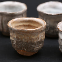 画像をギャラリービューアに読み込む, 紫雲<波多野善蔵> shiun <Zenzou Hadano>