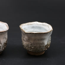 画像をギャラリービューアに読み込む, 紫雲<波多野善蔵> shiun <Zenzou Hadano>