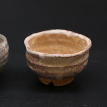 画像をギャラリービューアに読み込む, 玄風<波多野善蔵> genpu <Zenzou Hadano>