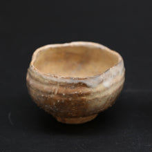 画像をギャラリービューアに読み込む, 玄風<波多野善蔵> genpu <Zenzou Hadano>