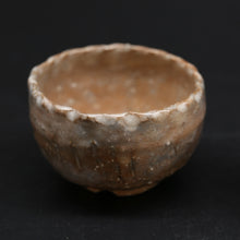 画像をギャラリービューアに読み込む, 金風<波多野善蔵> kinpu <Zenzou Hadano>