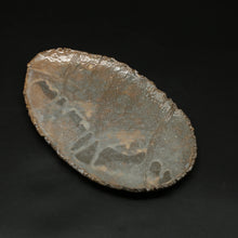 画像をギャラリービューアに読み込む, 萩筍皿 2＜波多野英生＞ hagi takenokozara2 ＜Hideo Hadano＞
