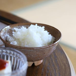 Hagi Rice Bowl 1 &lt;Kiln Craftsman&gt;<br> hagi-mesiwan1 &lt;syokunin&gt;