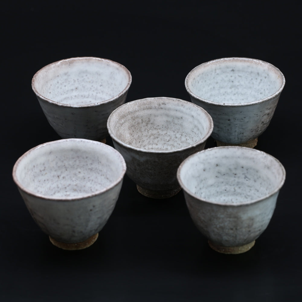 Assortment of Hagi kiln variations (5 customers) <Zenzo Hatano><br> hagiyouhen-kumidashizoroi<br> ＜Zenzou Hadano＞